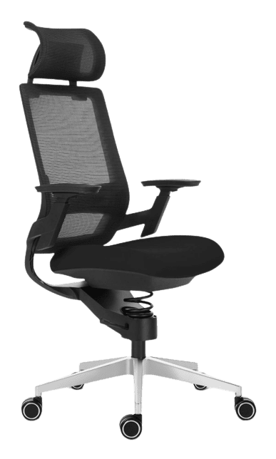 Ergonomische bureaustoel - Adaptic COMFORT zwart