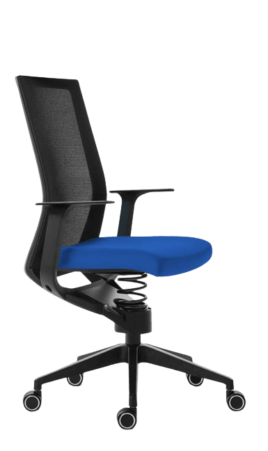 Ergonomische bureaustoel - Adaptic Easy blauw
